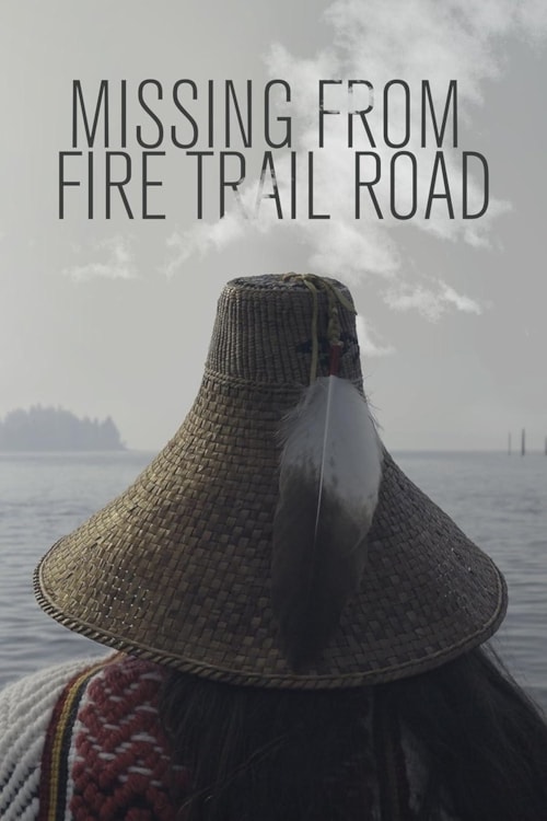 Missing From Fire Trail Road poster